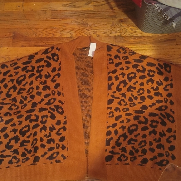 Ann Taylor Cape - Picture 3 of 8